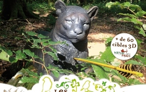 AMICAL 3D DES ARCHERS DE LA LINOTTE