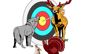 CONCOURS AMICAL 3D DU FRENZ