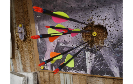 Bienvenue sur notre site !